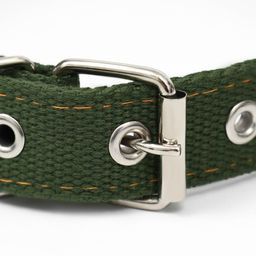 Ошейник брезентовый двухслойный, 59,5 х 2,5 см, хаки - Пижон фото 3