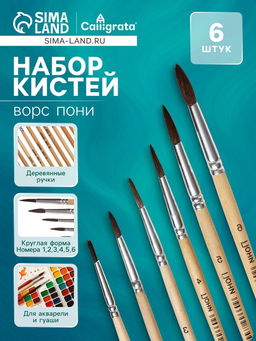 Набор кистей для рисования, пони, 6 штук: № 1, 2, 3, 4, 5, 6, круглые, деревянная ручка, международный размер