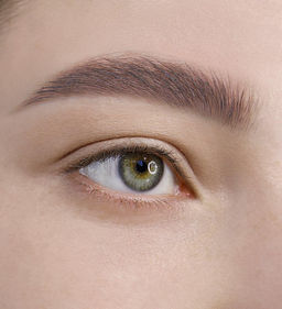 LuxVisage Гель-тинт для бровей водостойкий BROW TINT waterproof 24H тон 102 Soft Brown 5г