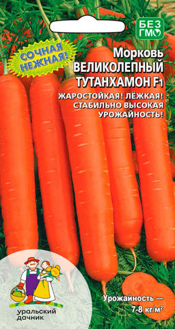 Морковь ВЕЛИКОЛЕПНЫЙ ТУТАНХАМОН F1 Сочная, нежная! Жаростойкая и лёжкая! Всегда хорошая урожайность!