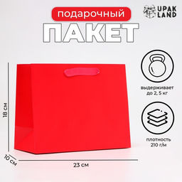 Пакет подарочный ламинированный Фуксия, MS 23?18?10 см