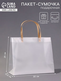 Пакет подарочный PP, 30×11.5×25 см