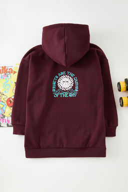 Kahverengi*St S?rt Bask?l? Erkek Cocuk Orme Sweatshirt TKDAW25SW00127