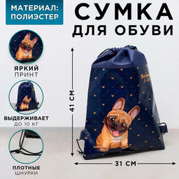 Сумка для обуви Мопсик, полиэстер, размер 41см х 31см х 0,5см