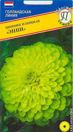 Цинния Энви 0,1г (Голландия) (Престиж)