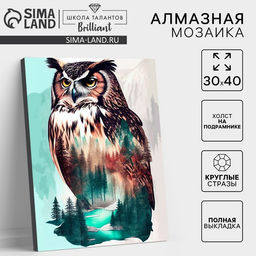 Алмазная мозаика с полным заполнением на холсте с подрамником «Филин», 30×40 см