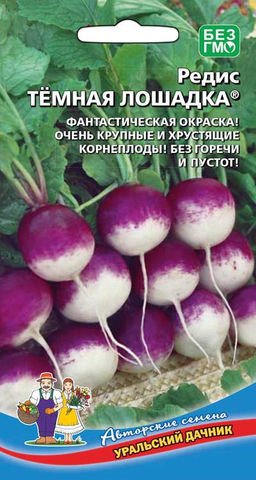 Редис ТЁМНАЯ ЛОШАДКА  Фантастическая окраска! Крупные и хрустящие корнеплоды! Без горечи и без пустот!