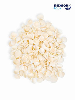 Набор ракушек декоративных 1,5-3 см, 100  г