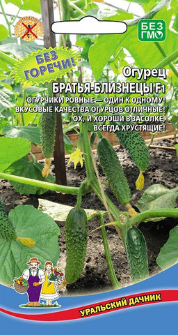 Огурец БРАТЬЯ-БЛИЗНЕЦЫ F1 Огурчики ровные один к одному! Хороши в засолке, всегда хрустящие!