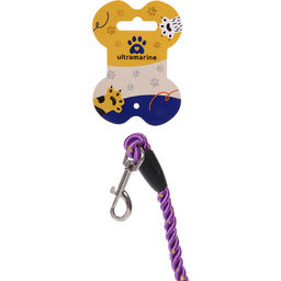 Цена за 3 шт. Поводок нейлоновый с карабином "Бро на прогулке", цвет фиолетовый, 1.3метра