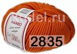 Пряжа MAMBO