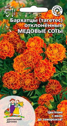 Бархатцы МЕДОВЫЕ СОТЫ