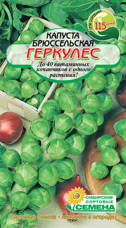 Геркулес брюссельская капуста 0,3г (ссс) Р