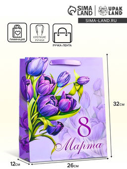 Цена за 2 шт. Пакет подарочный ламинированный вертикальный Букет, M 25.5?30?9 см