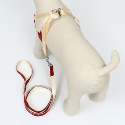 Комплект с мягкой шлейкой Клетки, размер L, поводок 120 х 1,5 см, ОГ 42-76 см, красный - Пижон фото 3