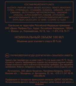 Dilis ACUMEN Ambre Парфюмерная вода для мужчин 100 мл  фото 7