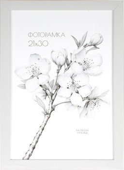 Фоторамка 21x30 / XY1911W-103 /уп10 - ГалеонТрейд фото 2
