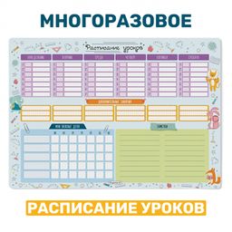 РАСПИСАНИЕ УРОКОВ ЛАМИНИРОВАННОЕ COOL 30х42 см (2413)