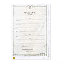 Папка для свидетельства о рождении, А5 «Зайки»