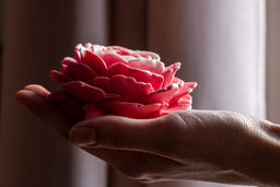 89610 мыло "Королевская роза"