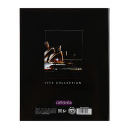 Комплект тетрадей из 5 штук, 48 листов в клетку Calligrata "Путешествие", обложка мелованный картон, УФ-лак, блок офсет