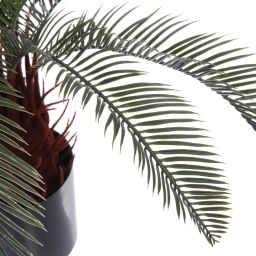 Дерево искусственное "Пальма Цикас" 50см