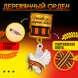 Набор военного «На парад победы»: аксельбант, значок, цвет золотой