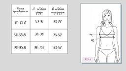 Женский топ Kota 6375  фото 5