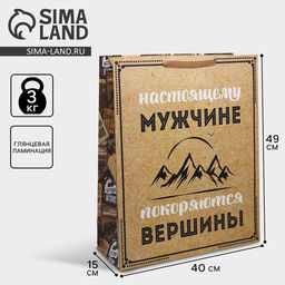 Пакет подарочный ламинированный, упаковка, «Для настоящего мужчины», 40 х 49 х 15 см