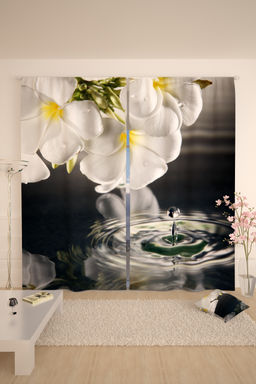 Фотошторы 10805