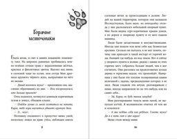 Тайна Холли (#3)