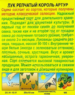 Лук репчатый Король Артур 0,5г (Аэлита)