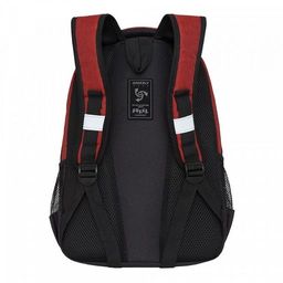 RB-054-6 Рюкзак школьный - Grizzly фото 17