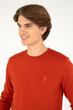 Мужской базовый свитер с плиткой - U.s. polo assn фото 2