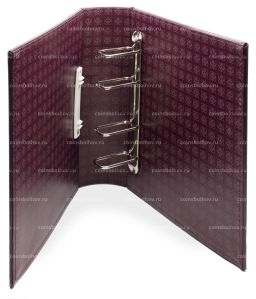 Альбом для монет без листов c защитным шубером формат Optima Gigant Красный Классический дизайн LEUCHT Красный Классический дизайн LEUCHTTURM 301654