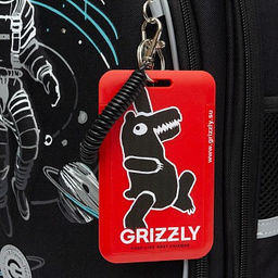 RAz-587-6 Рюкзак школьный - Grizzly фото 24