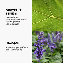Крем-флюид береза и шалфей - Ecomake фото 3