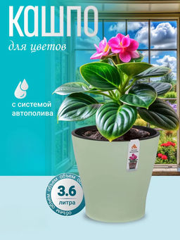 4d9b530193c7a7bf7234e449d57aab916ce3p1yymlh0mhwq