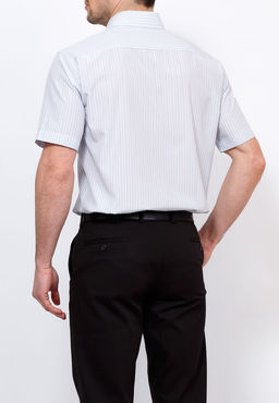 Сорочка мужская короткий рукав CASINO c131/0/7391/Z