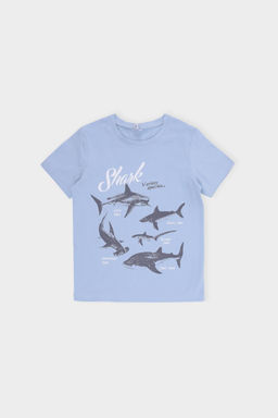 Crockid _ КП 302518/незабудка фуфайка для мал