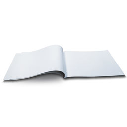 Светоч Альбом для рисования 100 г/м2 A4 29 х 20.5 см 40 л. на скобе 10 шт. 40АЛСК4_000232 Замки