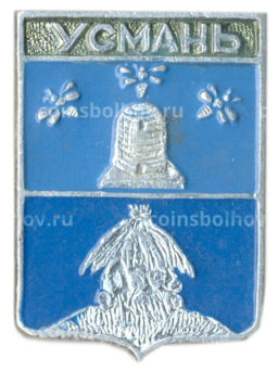 Значок Усмань