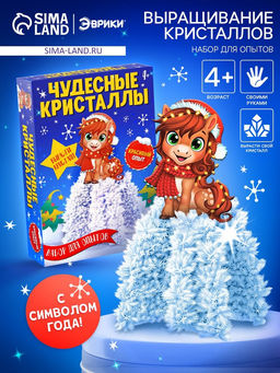 Набор для опытов Чудесные кристаллы, с лошадкой