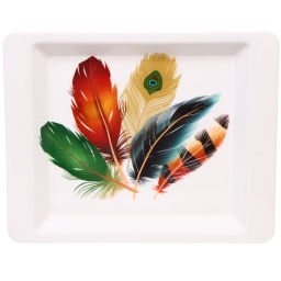 Цена за 2 шт. Поднос пластиковый "Волшебное перо" 38*30*2,5см