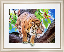 Картина 5D 40х50 257 / ZR8845B-H39H23/