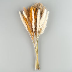 Сухоцветы «Изящность», набор из 5 видов, 48×16×6 см