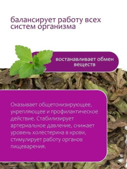 Стевия - Травы горного крыма фото 4