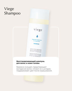 Шампунь восстанавливающий для волос и кожи головы viege Shampoo, 240 мл мл. - Lebel фото 6
