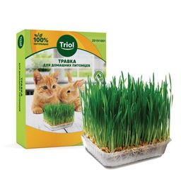 TRIOL Травка для домашних питомцев 1\34 20191001