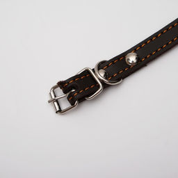 Ошейник кожаный однослойный с рифлеными люверсами, 35х1,2 см, ОШ 10-28 см, безразмерный, микс цветов - Пижон фото 3